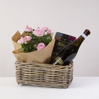 Image of Prosecco and Rose Plant Hamper flowers