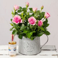 Image of Pink Rose With Cocktail Gift