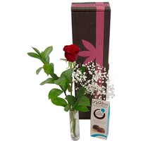 Image of Single Red Rose Gift Set