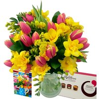 Image of Tulip and Freesia Gift Set